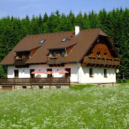 Pensjonat Penzion Plane Nove Hute